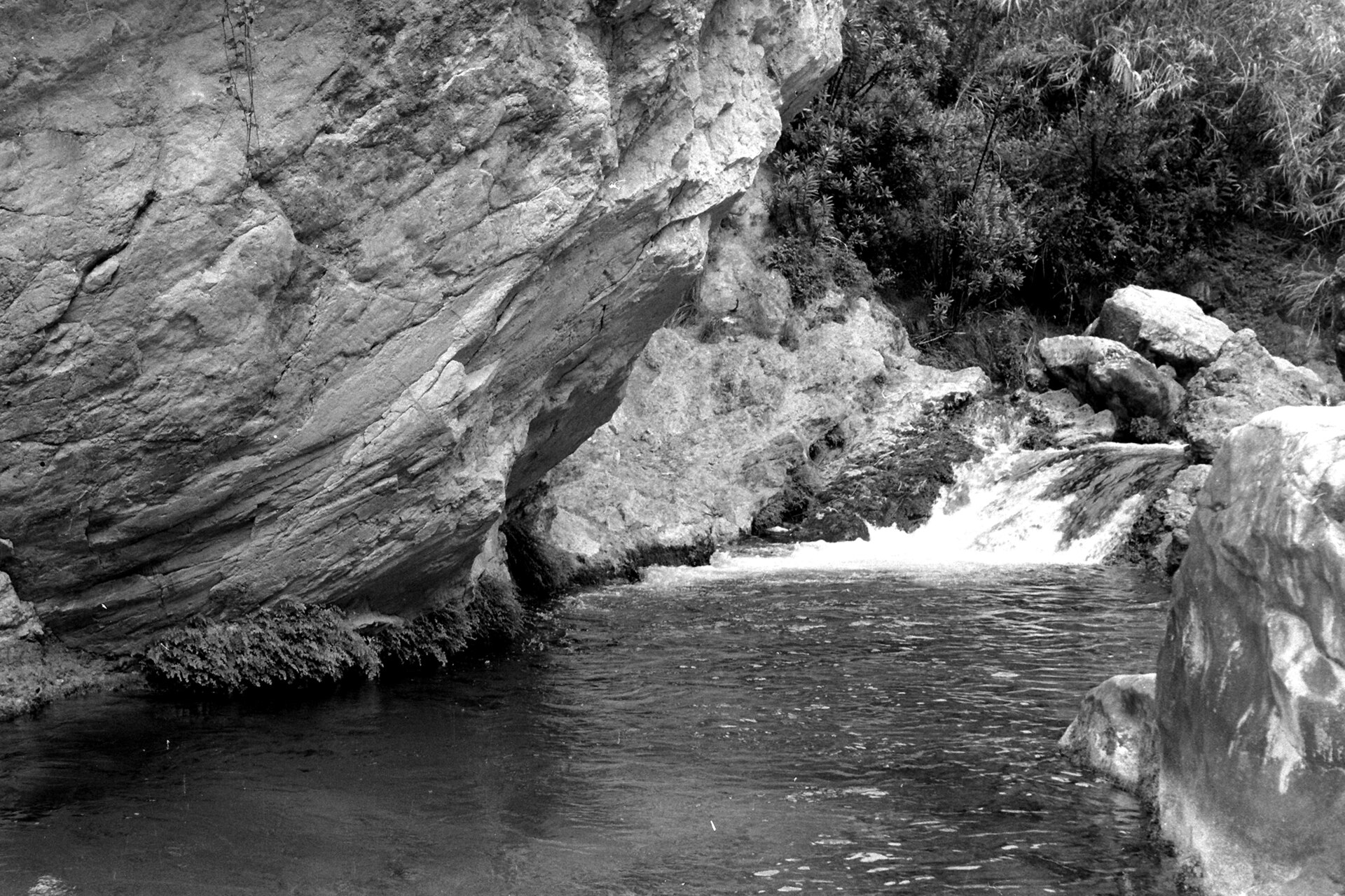 Arroyo de las Fuentes del Algar. Callosa de Ensarriá (Alicante, Comunidad Valenciana, España)
