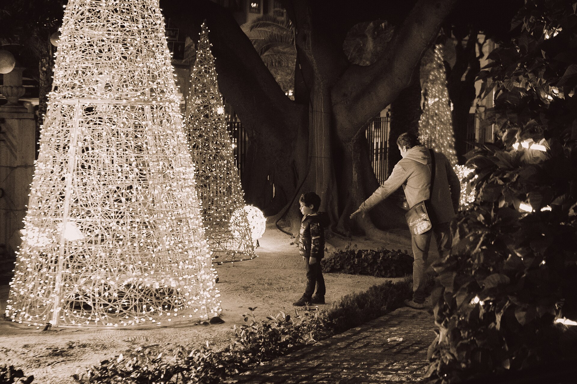 La luz de la Navidad (Alicante,enero 2016)